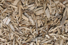 biomass boilers Westerwood